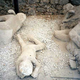 Illustration for article titled How did the victims of the Plinean Eruption of Vesuvius die?